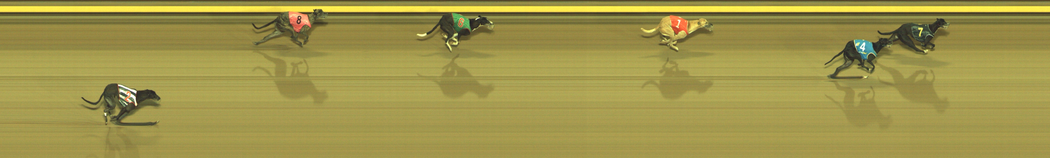 Photo finish for Geelong Race 7