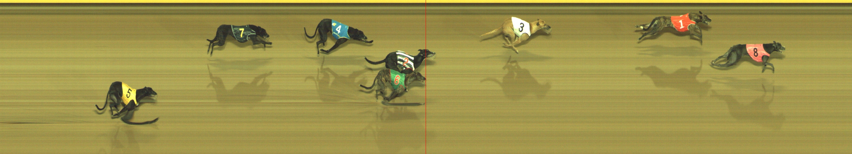 Photo finish for Geelong Race 8