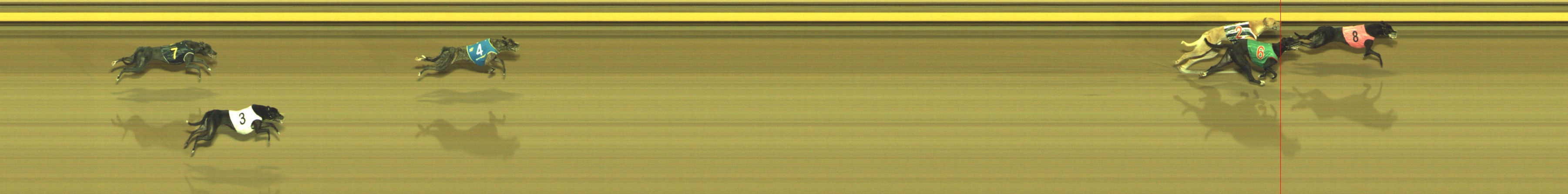Photo finish for Geelong Race 9
