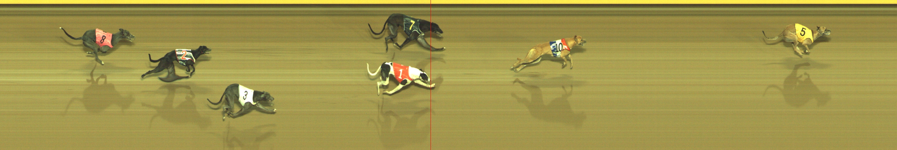 Photo finish for Geelong Race 10