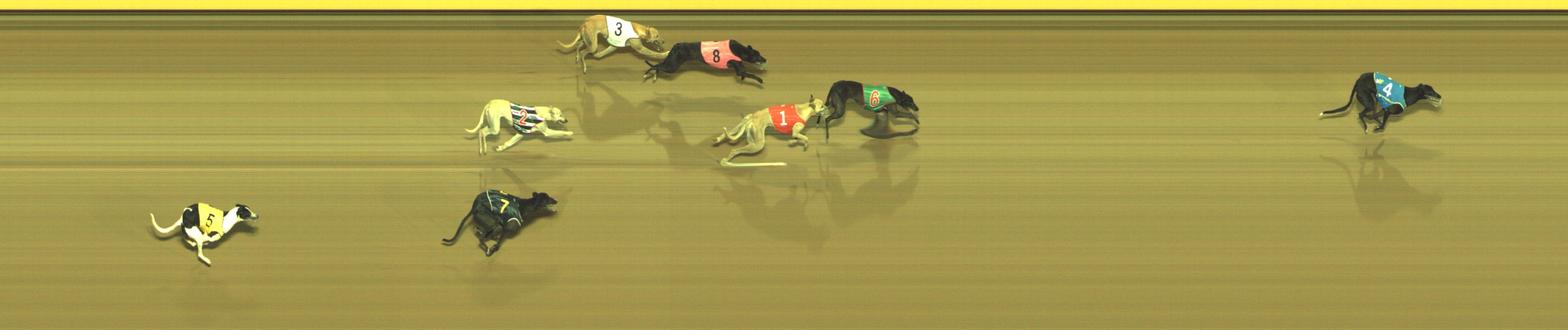 Photo finish for Geelong Race 11