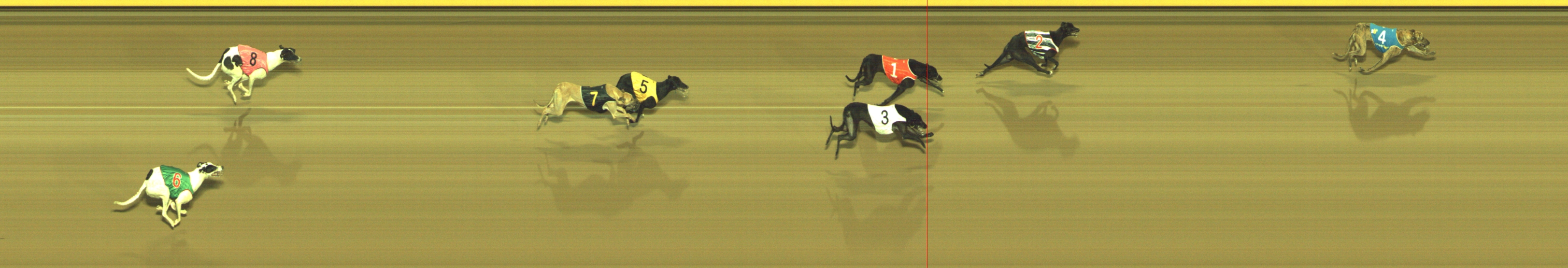 Photo finish for Geelong Race 12