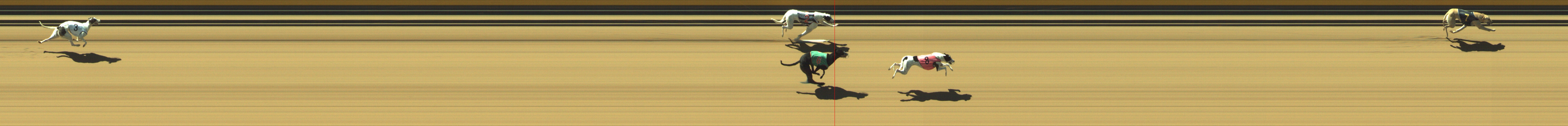 Photo finish for Geelong Race 1