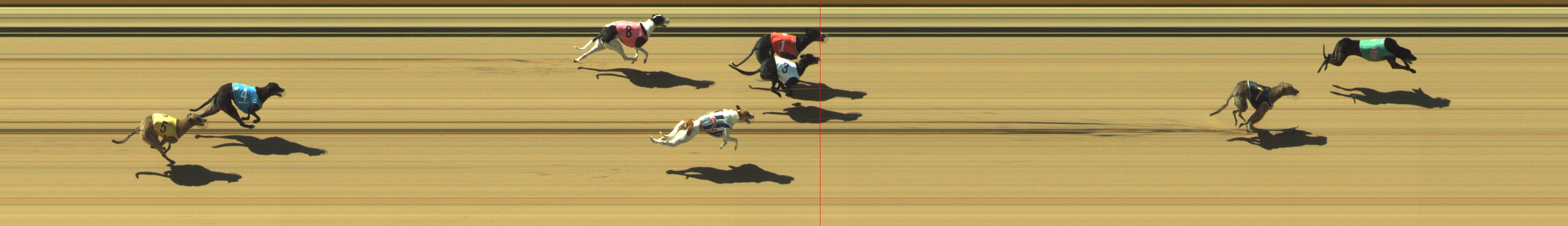 Photo finish for Geelong Race 3