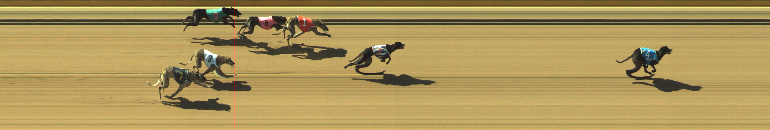 Photo finish for Geelong Race 4