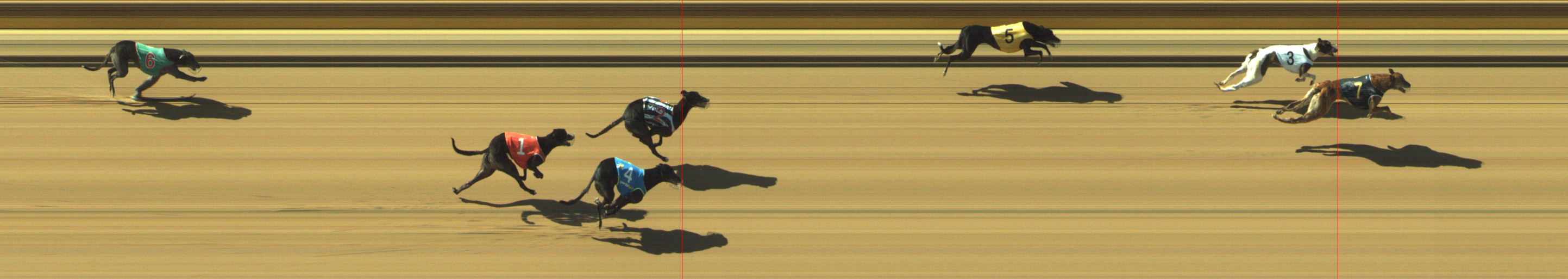 Photo finish for Geelong Race 5