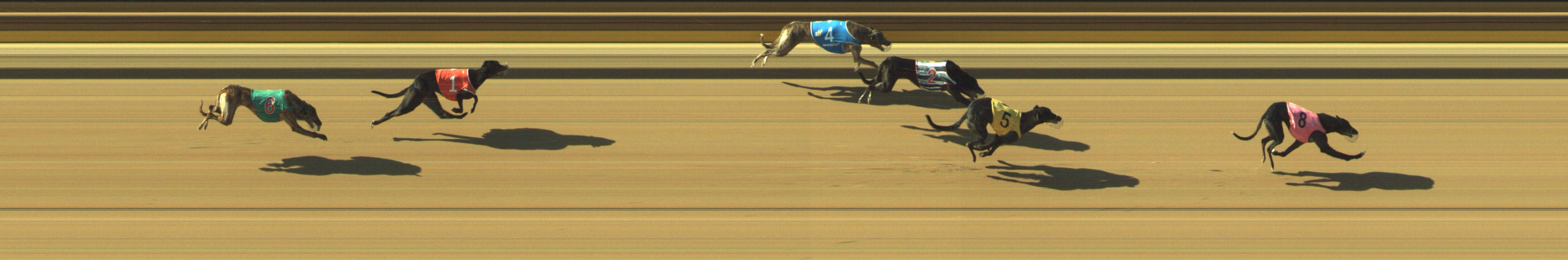 Photo finish for Geelong Race 7