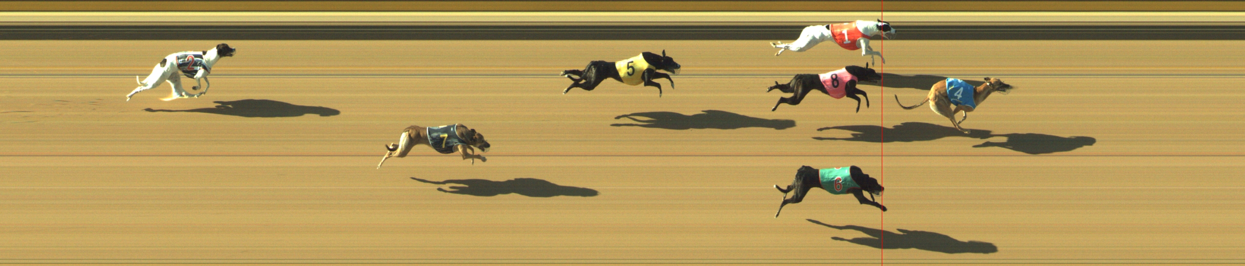 Photo finish for Geelong Race 8
