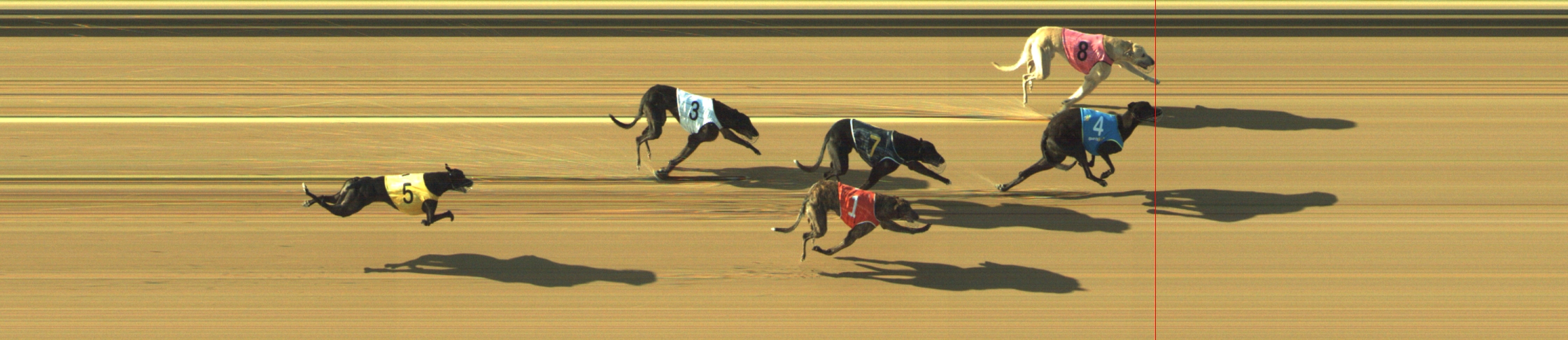 Photo finish for Geelong Race 9