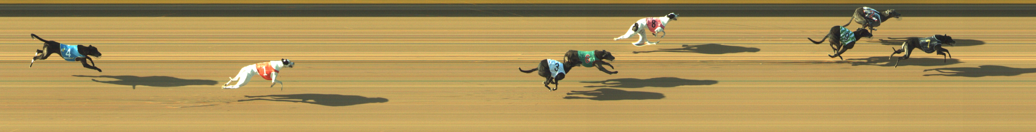 Photo finish for Geelong Race 10