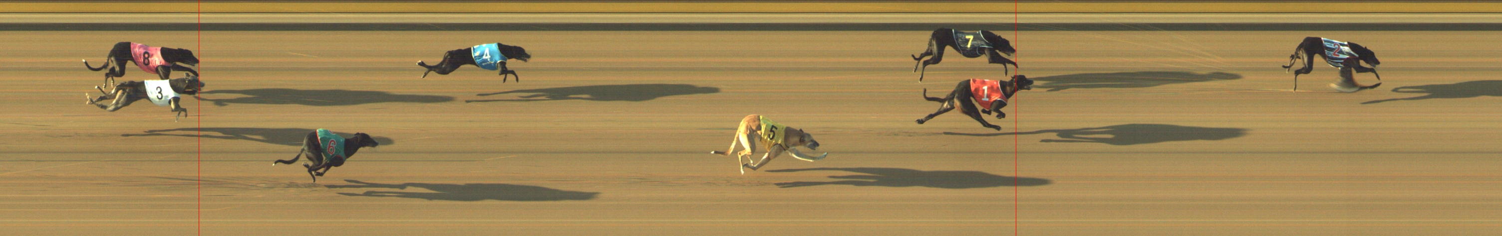 Photo finish for Geelong Race 11
