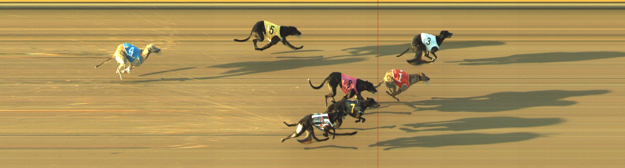 Photo finish for Geelong Race 12