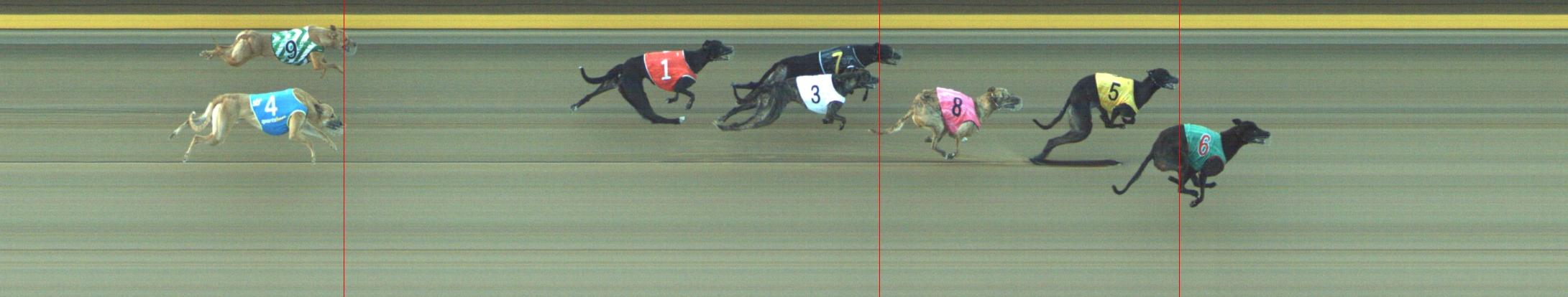 Photo finish for Geelong Race 13
