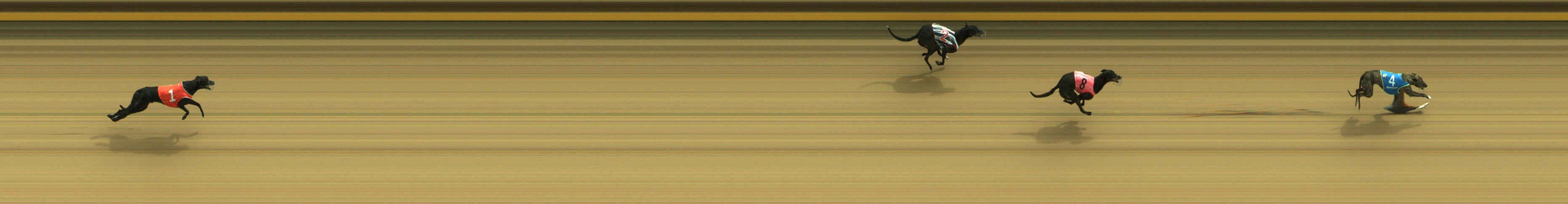 Photo finish for Geelong Race 1