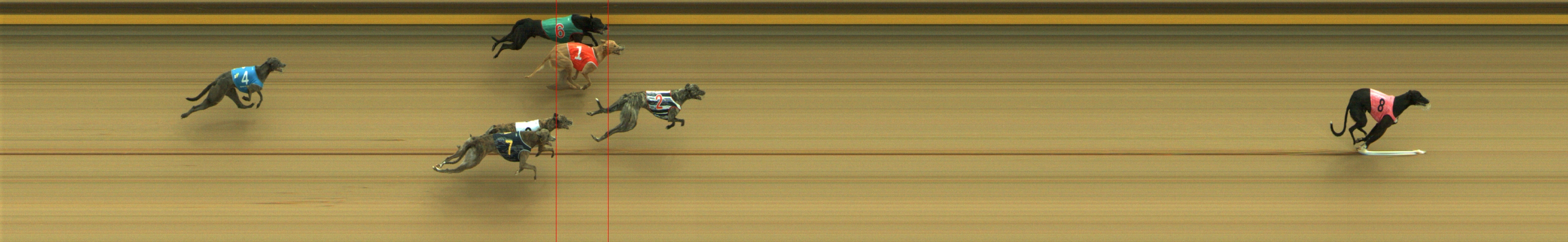 Photo finish for Geelong Race 2