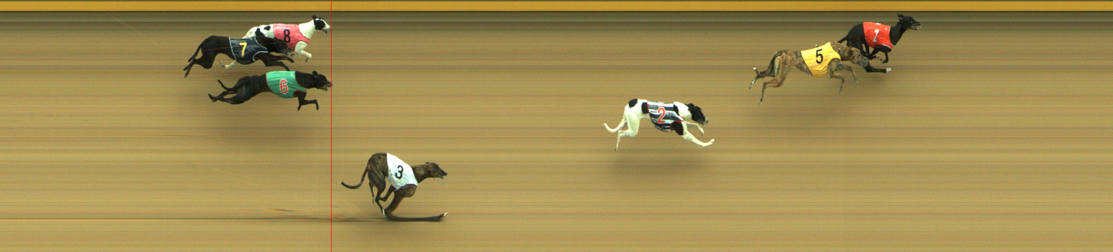Photo finish for Geelong Race 3
