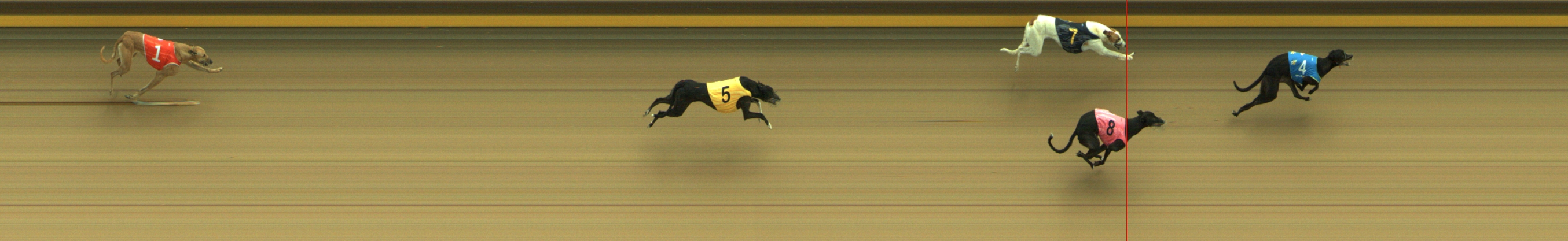 Photo finish for Geelong Race 4