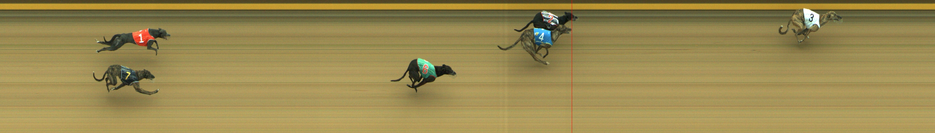Photo finish for Geelong Race 5