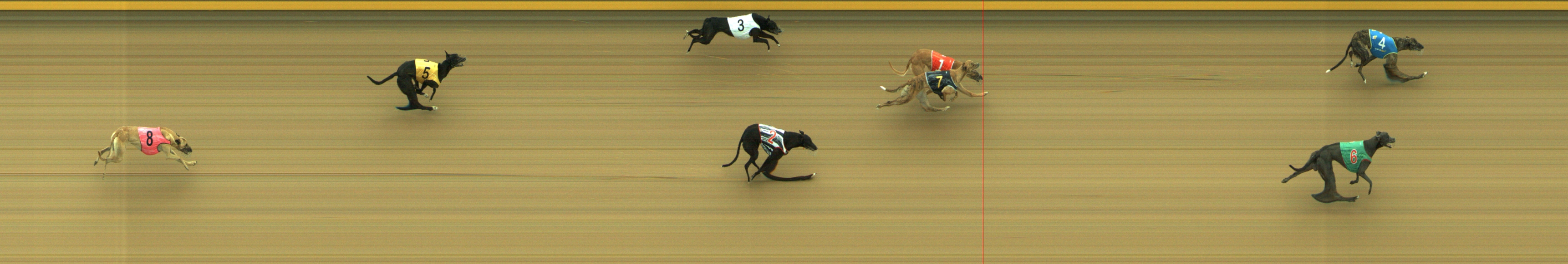 Photo finish for Geelong Race 6
