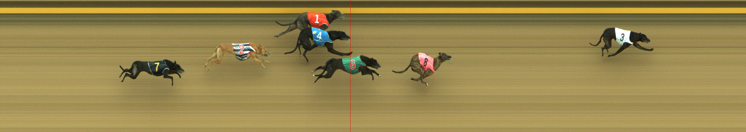 Photo finish for Geelong Race 7