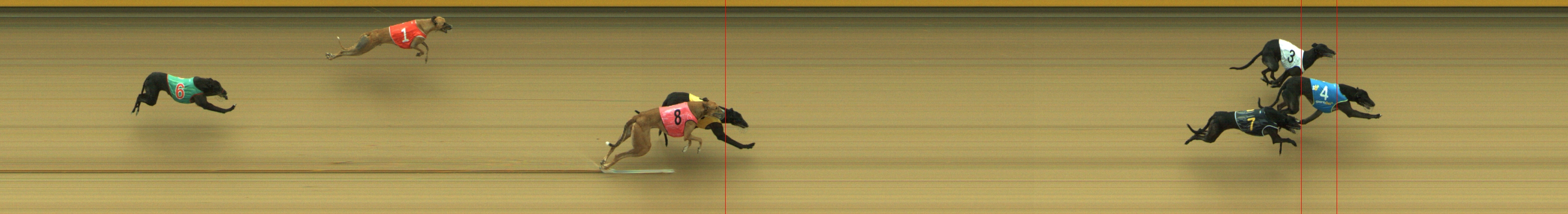 Photo finish for Geelong Race 8