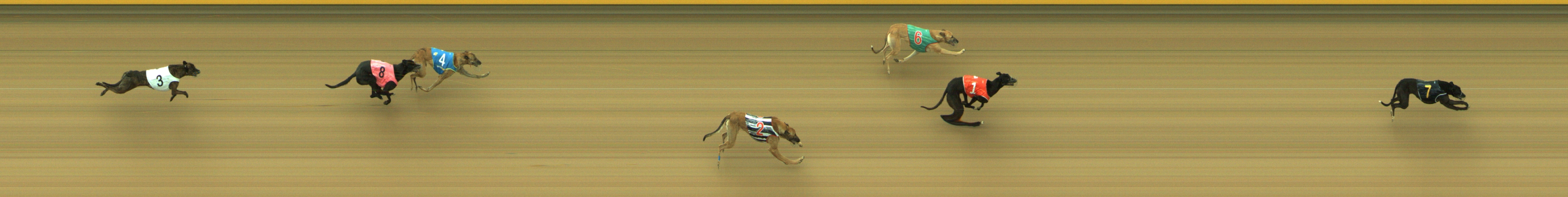 Photo finish for Geelong Race 9