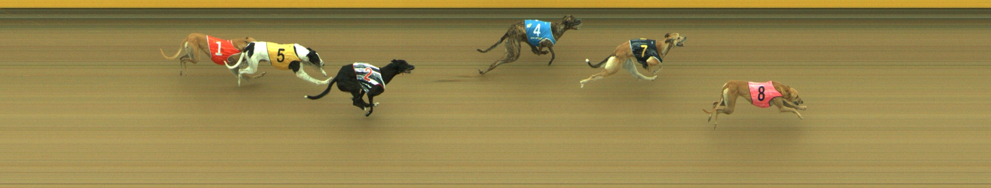 Photo finish for Geelong Race 10