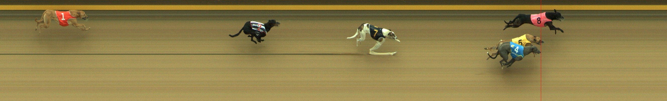 Photo finish for Geelong Race 11