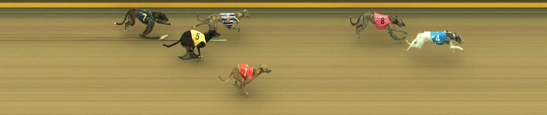 Photo finish for Geelong Race 12