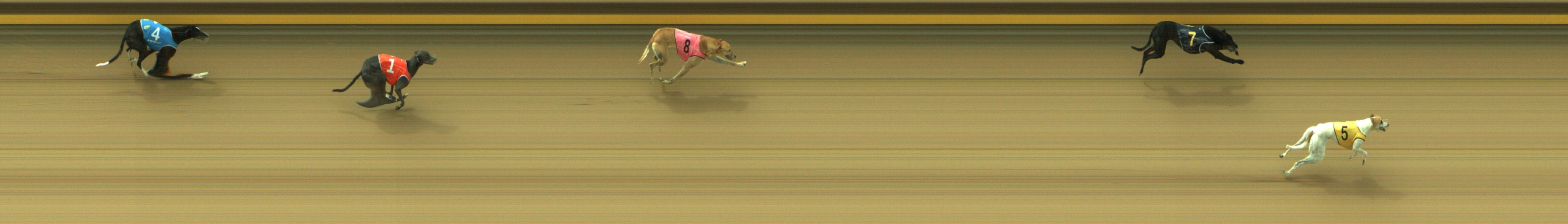 Photo finish for Geelong Race 13