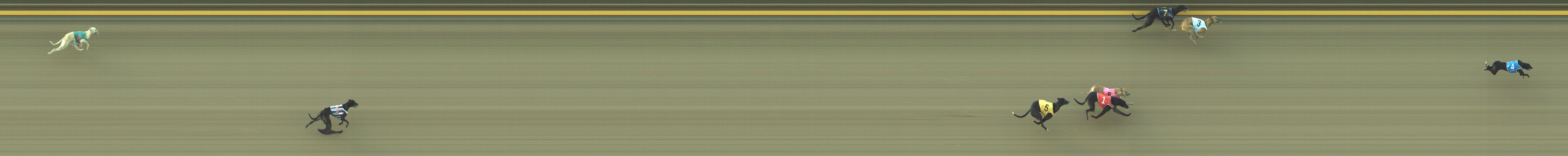 Photo finish for Geelong Race 1