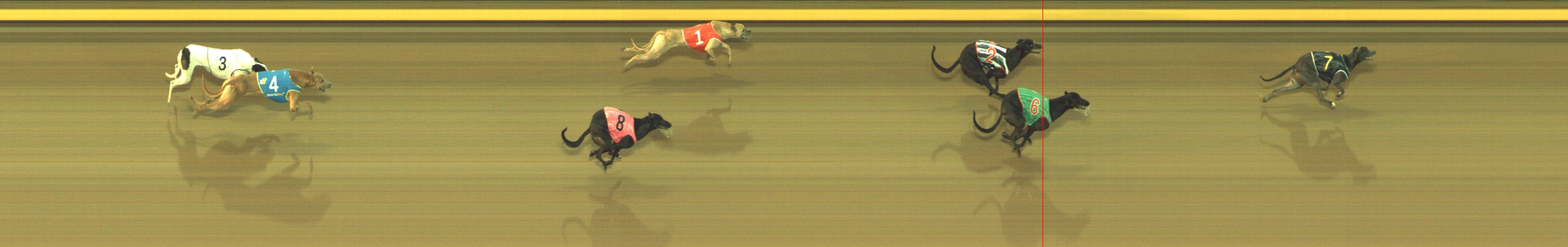 Photo finish for Geelong Race 2