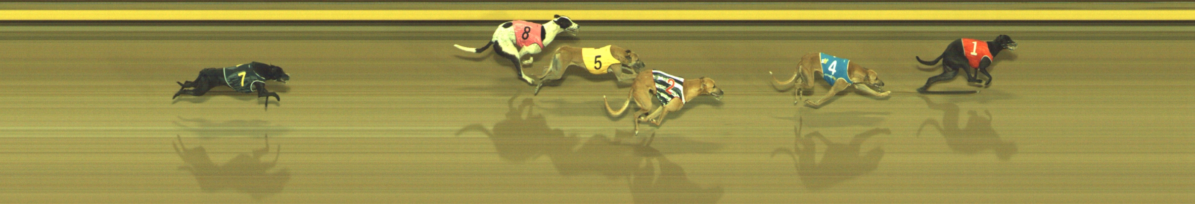 Photo finish for Geelong Race 3