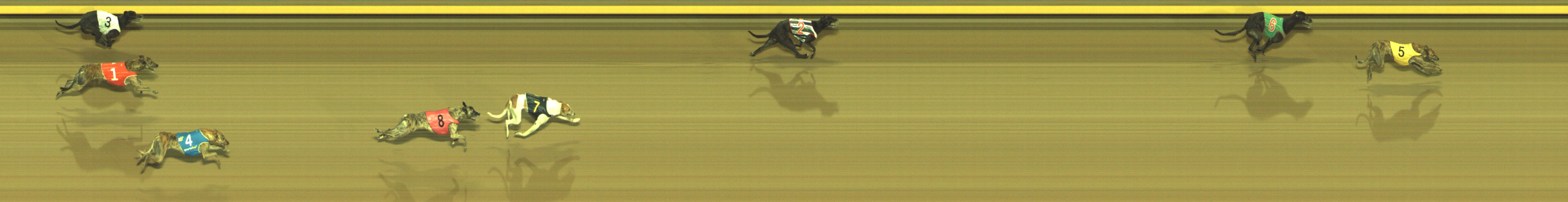 Photo finish for Geelong Race 4