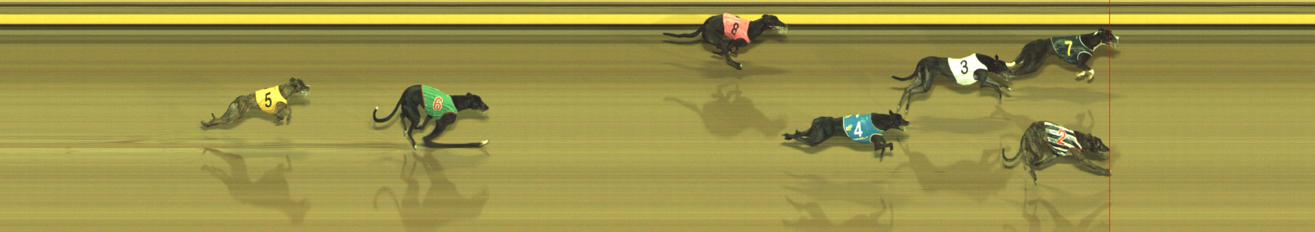 Photo finish for Geelong Race 5