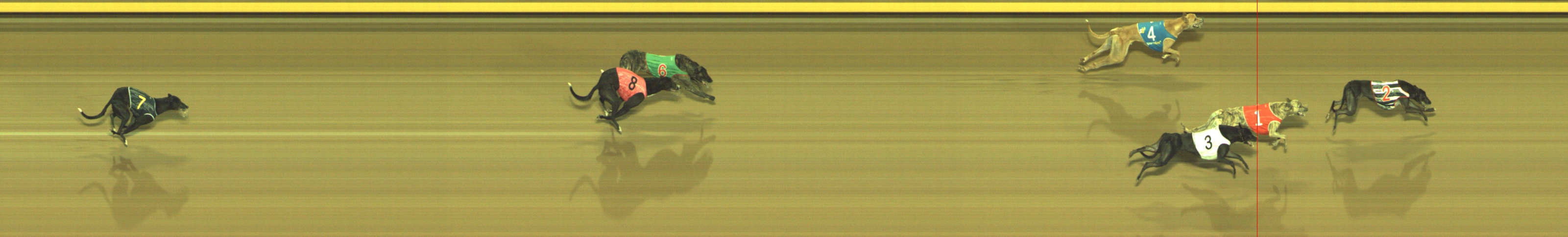 Photo finish for Geelong Race 6
