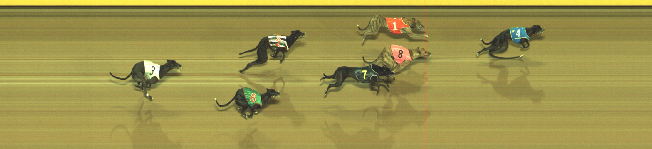 Photo finish for Geelong Race 7