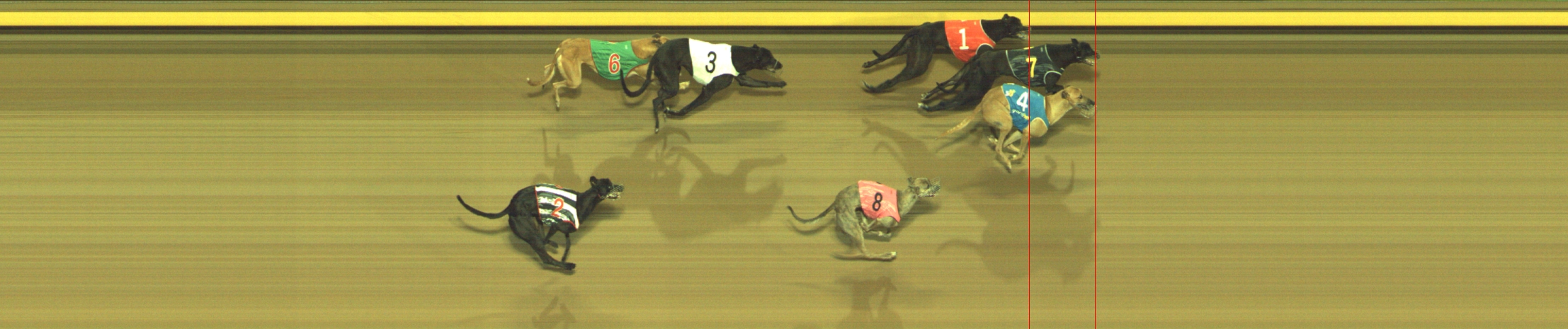 Photo finish for Geelong Race 8