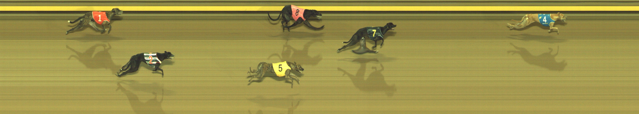 Photo finish for Geelong Race 9