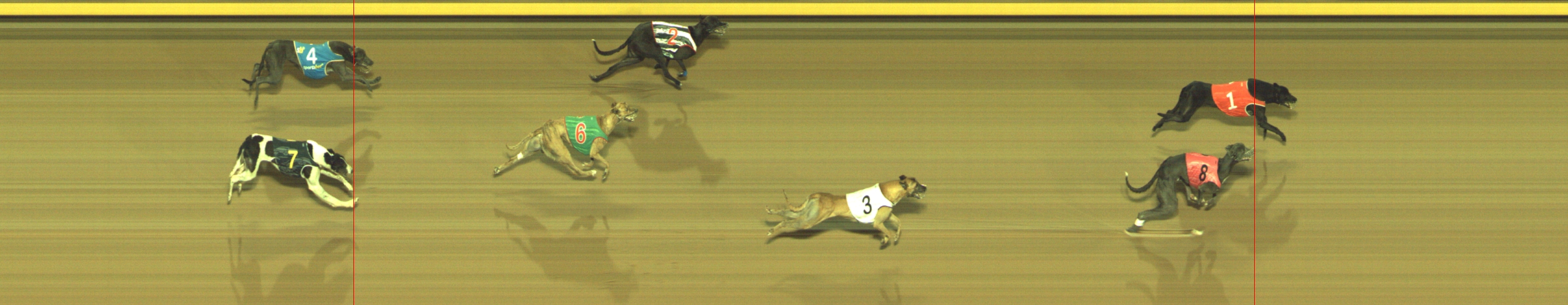 Photo finish for Geelong Race 10