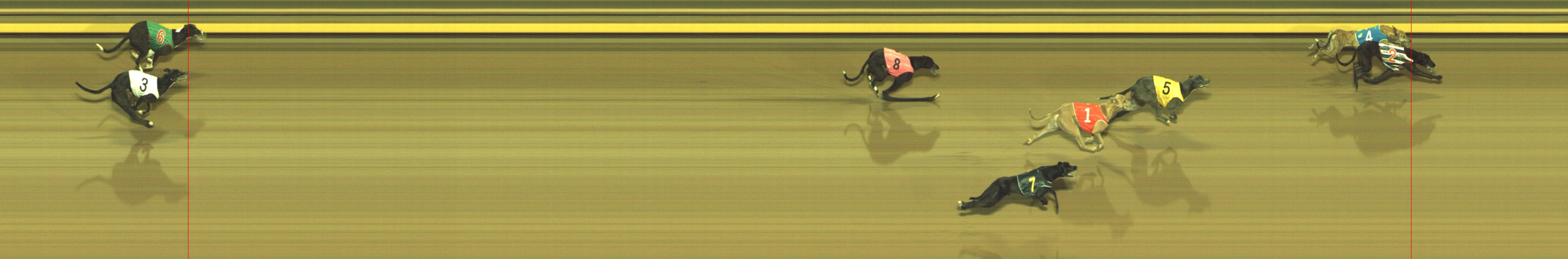 Photo finish for Geelong Race 11
