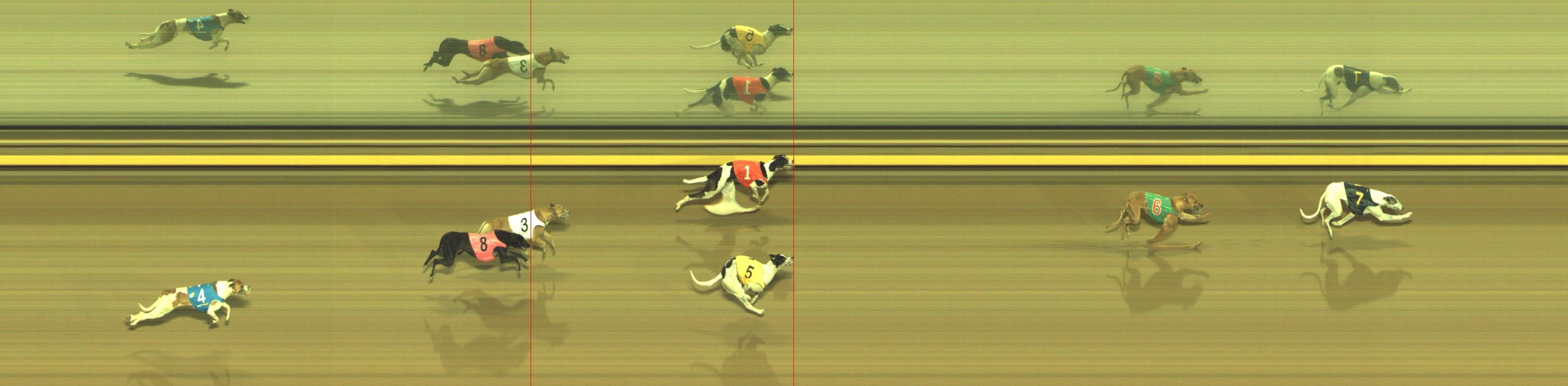 Photo finish for Geelong Race 12