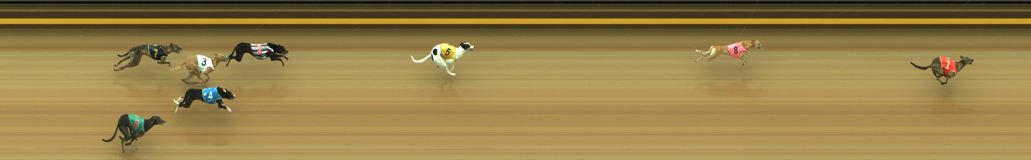 Photo finish for Geelong Race 1