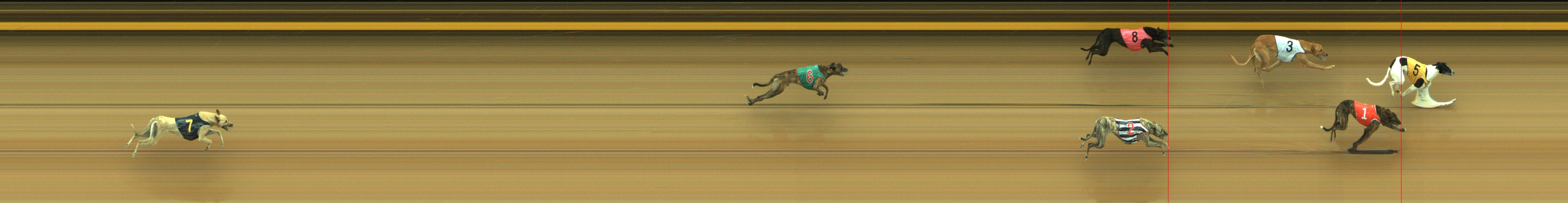 Photo finish for Geelong Race 2