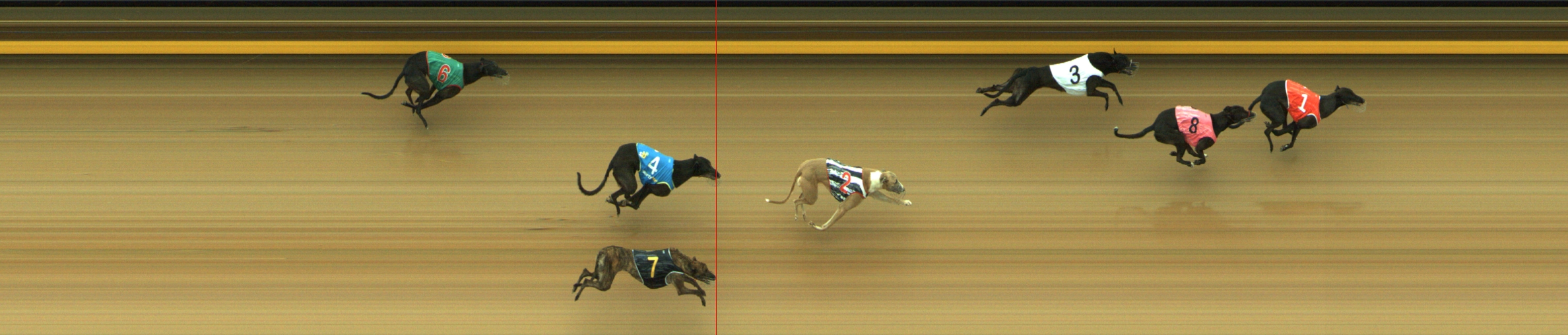 Photo finish for Geelong Race 3