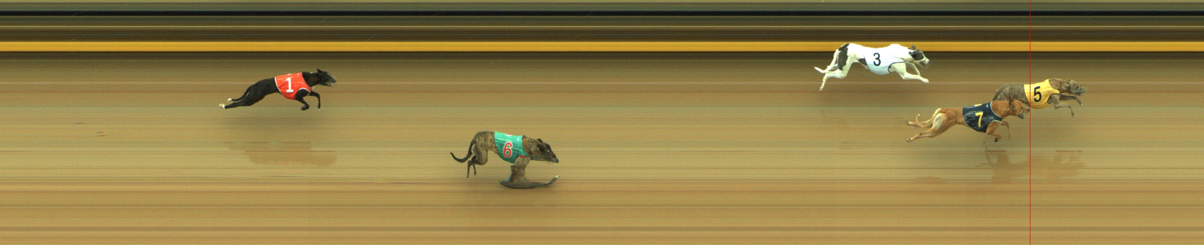 Photo finish for Geelong Race 4