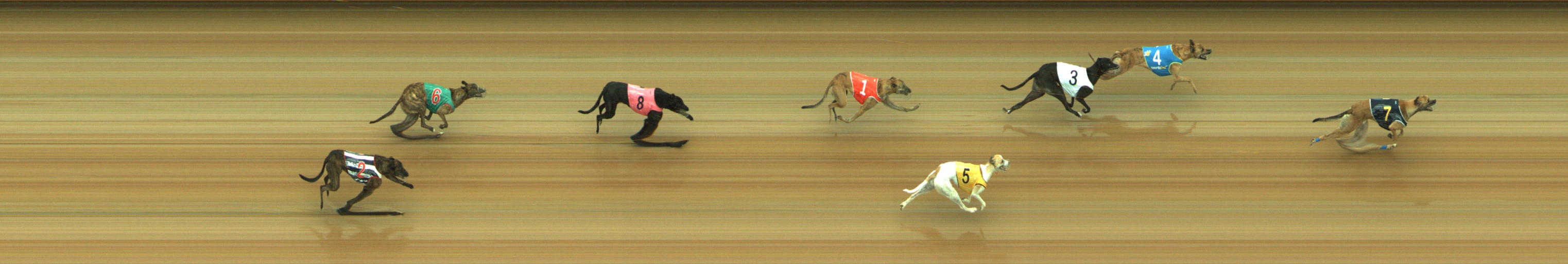 Photo finish for Geelong Race 5