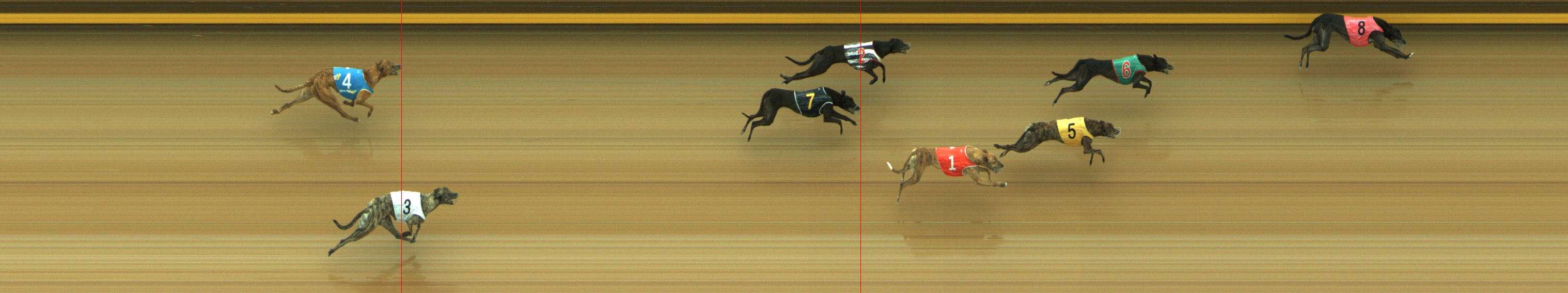 Photo finish for Geelong Race 6
