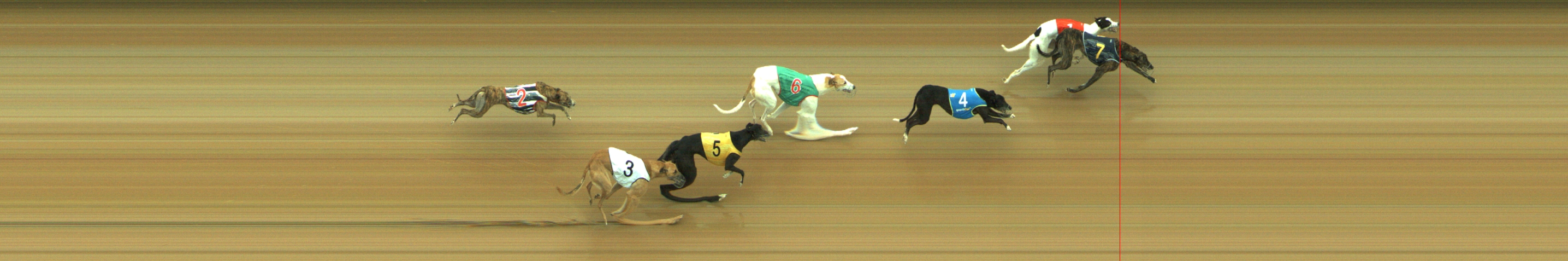 Photo finish for Geelong Race 7