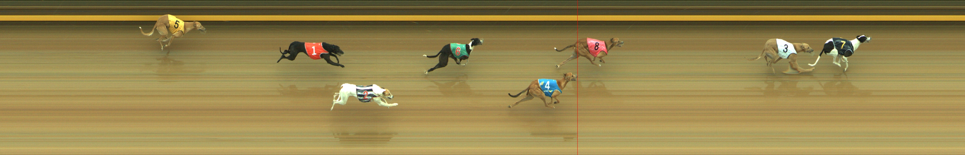 Photo finish for Geelong Race 8